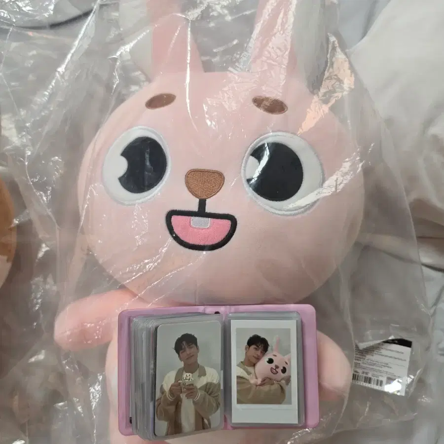 데이식스 자이언트 데니멀즈 필 + 폴라,포카