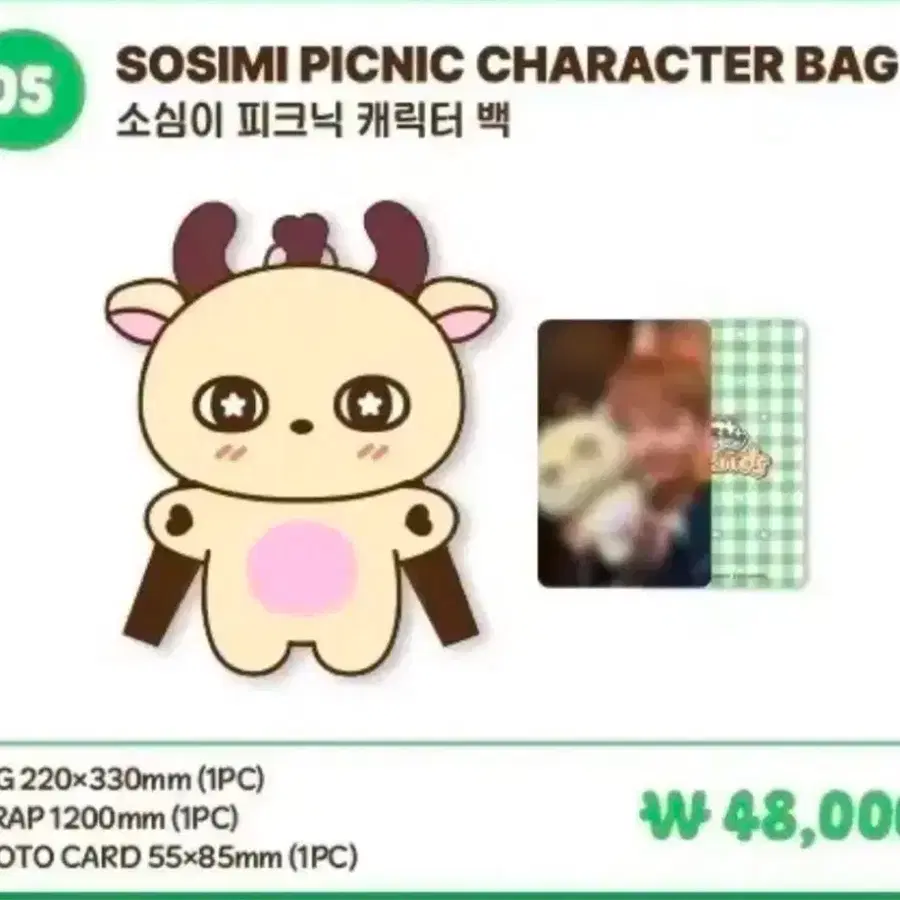 현물 박지훈 소심이 피크닉 캐릭터 백 양도합니다