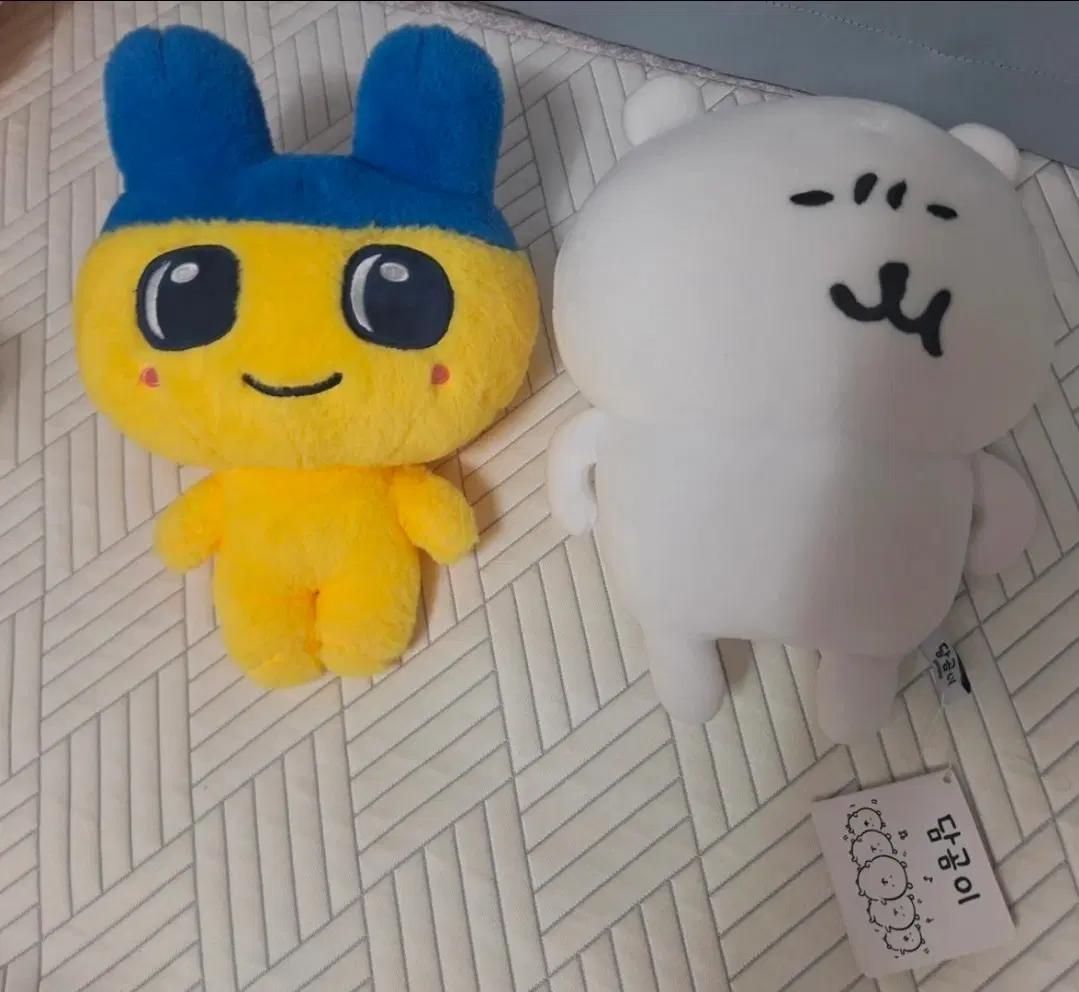 마메치, 농담곰 중형 인형