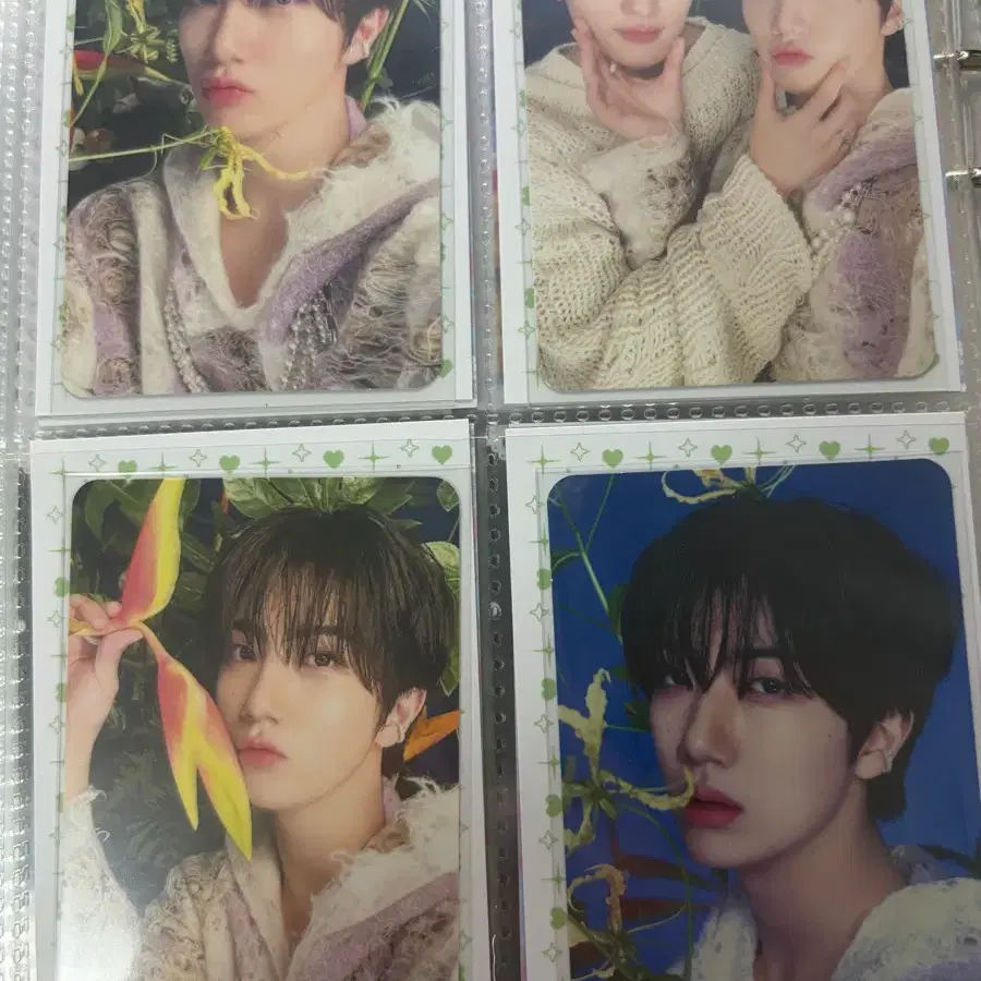 크래비티 원진 포카