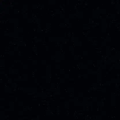 벨루고 번치바? 알리번치바 판매완료