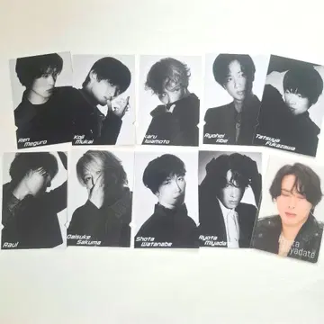 Snow Man Dome Tour RAYS 티켓풍 카드 흘긋 보기 9명