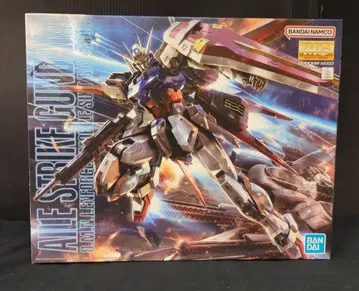 BANDAI SPIRITS MG 1/100 반다이남코판 에일 스트라이크 건담 Ver.RM/15+ 표기