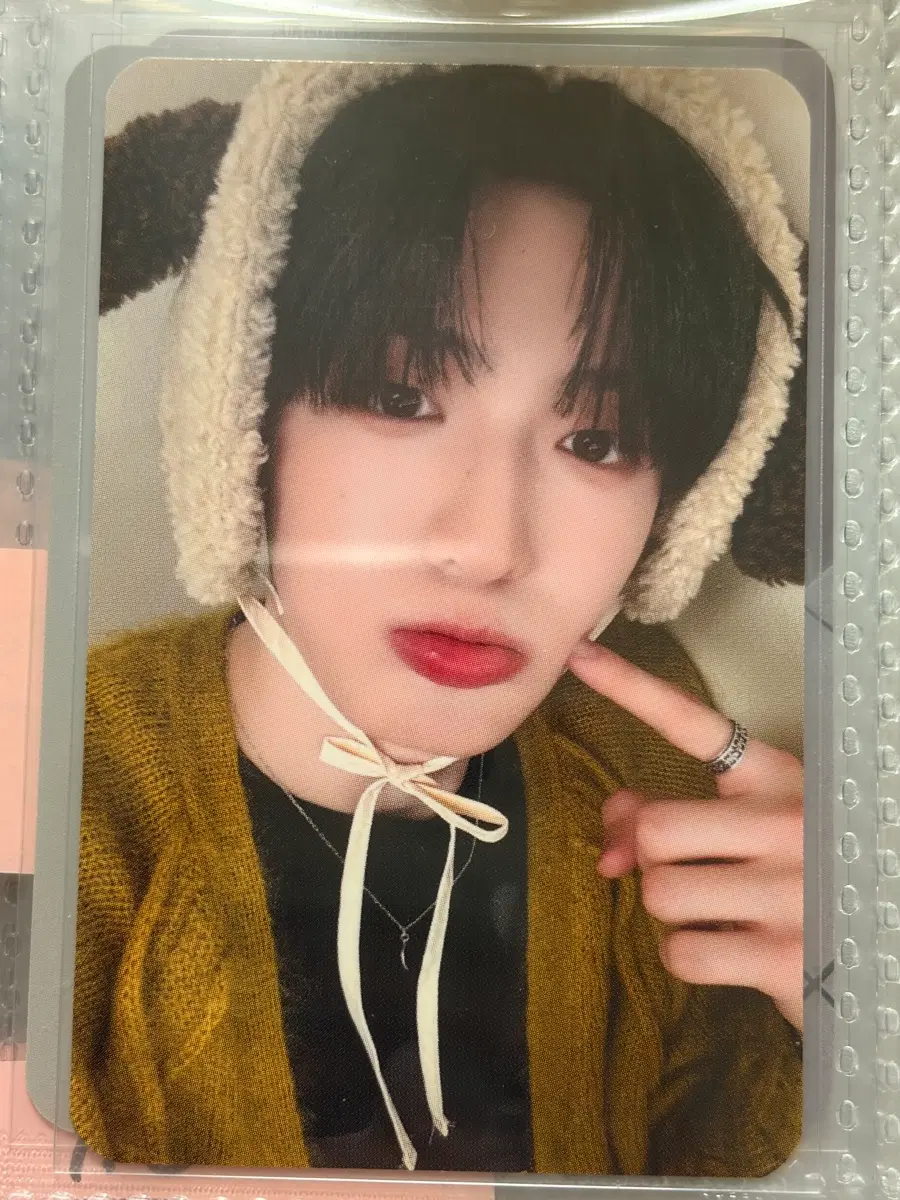 알디원 정상현 포카