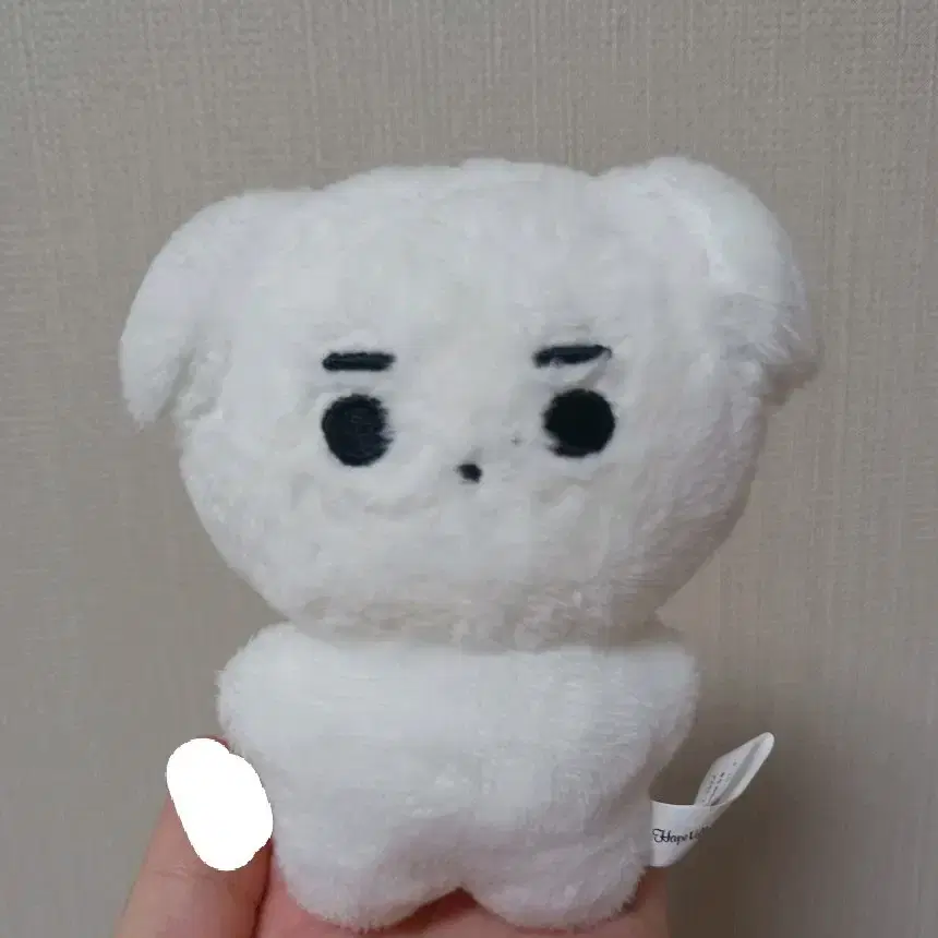 엔하이픈 성훈 인형 양도