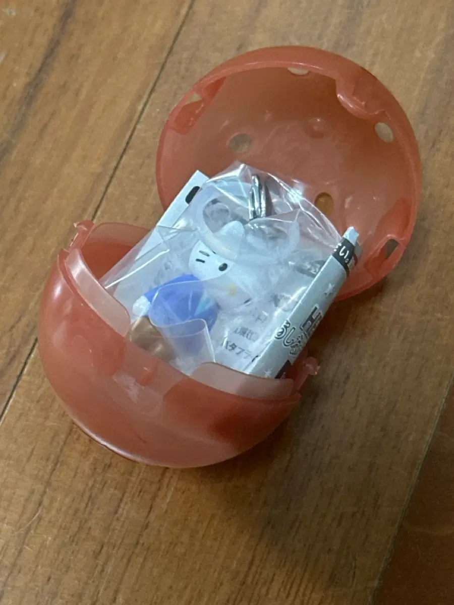 롱다리키티 메지루시 다니엘