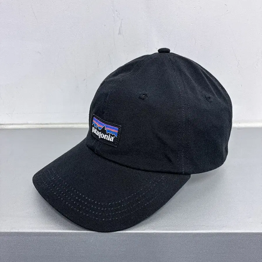 파타고니아 P-6 로고 트래드 캡 (OS) AF670