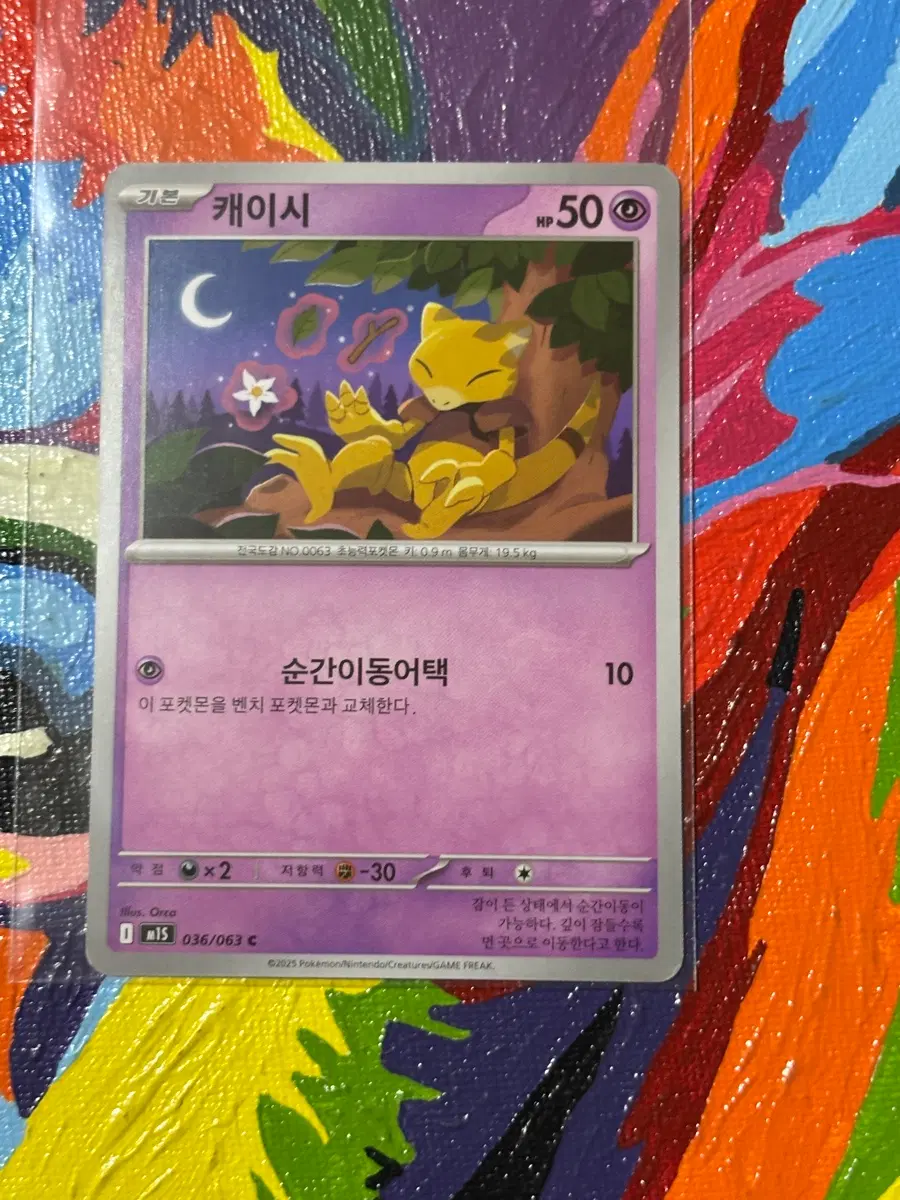 포켓몬스터 캐이시m1s 포켓몬 카드 인테리어 소품 꾸미기용 포장용