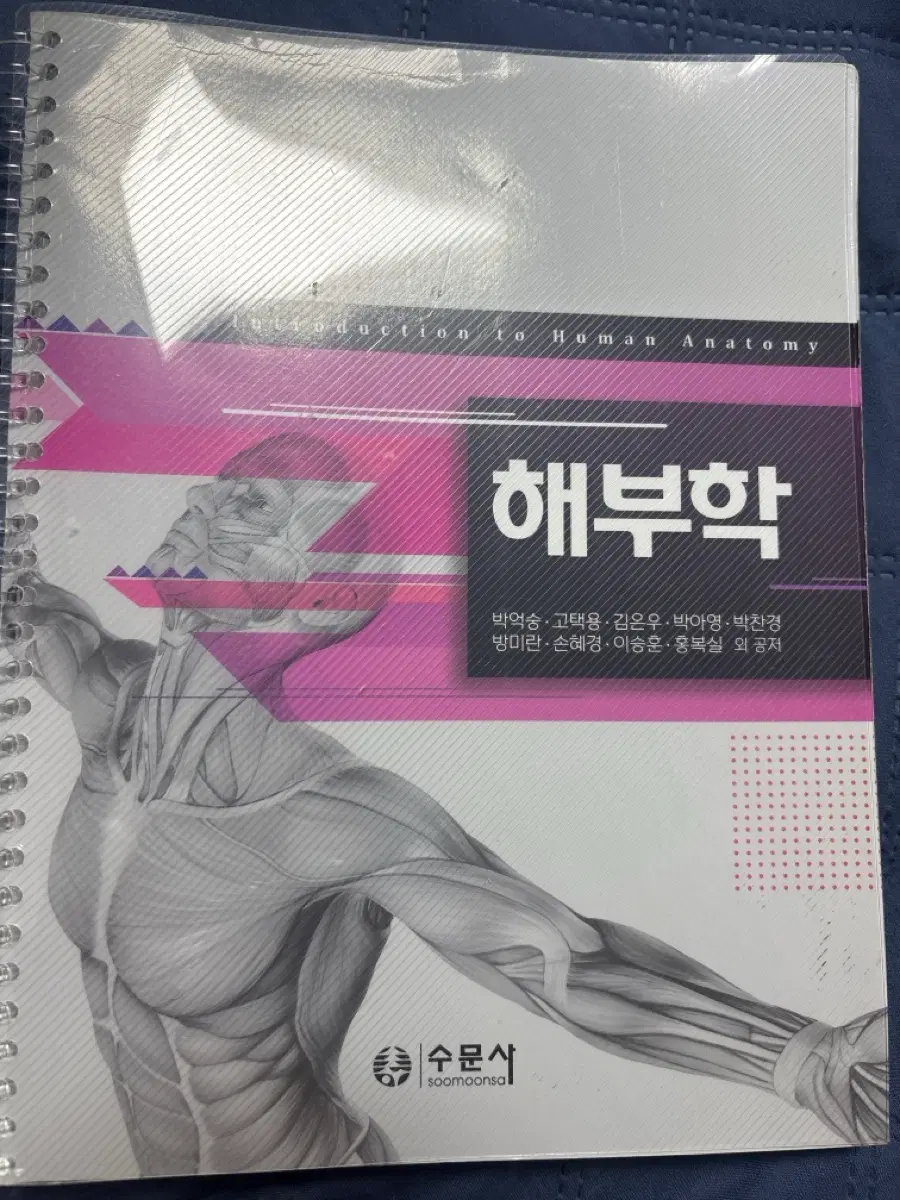 해부학 (수문사)