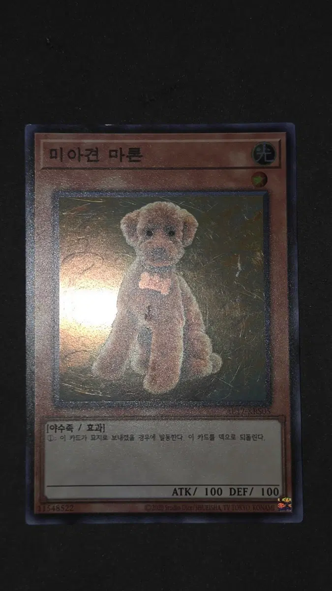 미아견 마론 AE17-KRS05 슈레