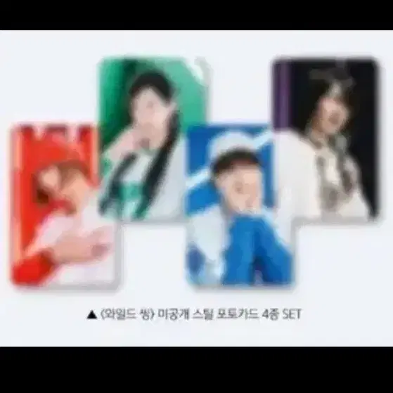[4종 일괄] 와일드씽 포토카드 포카 세트 강동원 엄태구 박지현 오정세