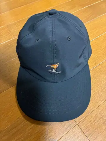 THE NORTH FACE 스키어 자수입 캡