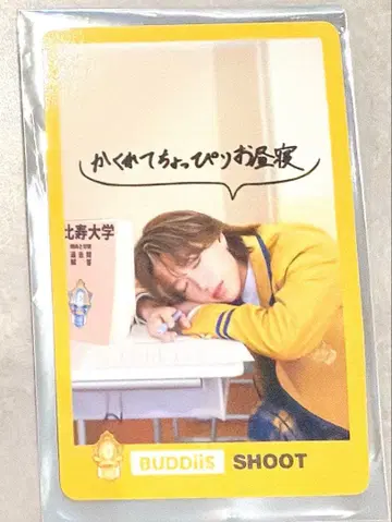 EBiDAN 트레이딩 카드 SHOOT