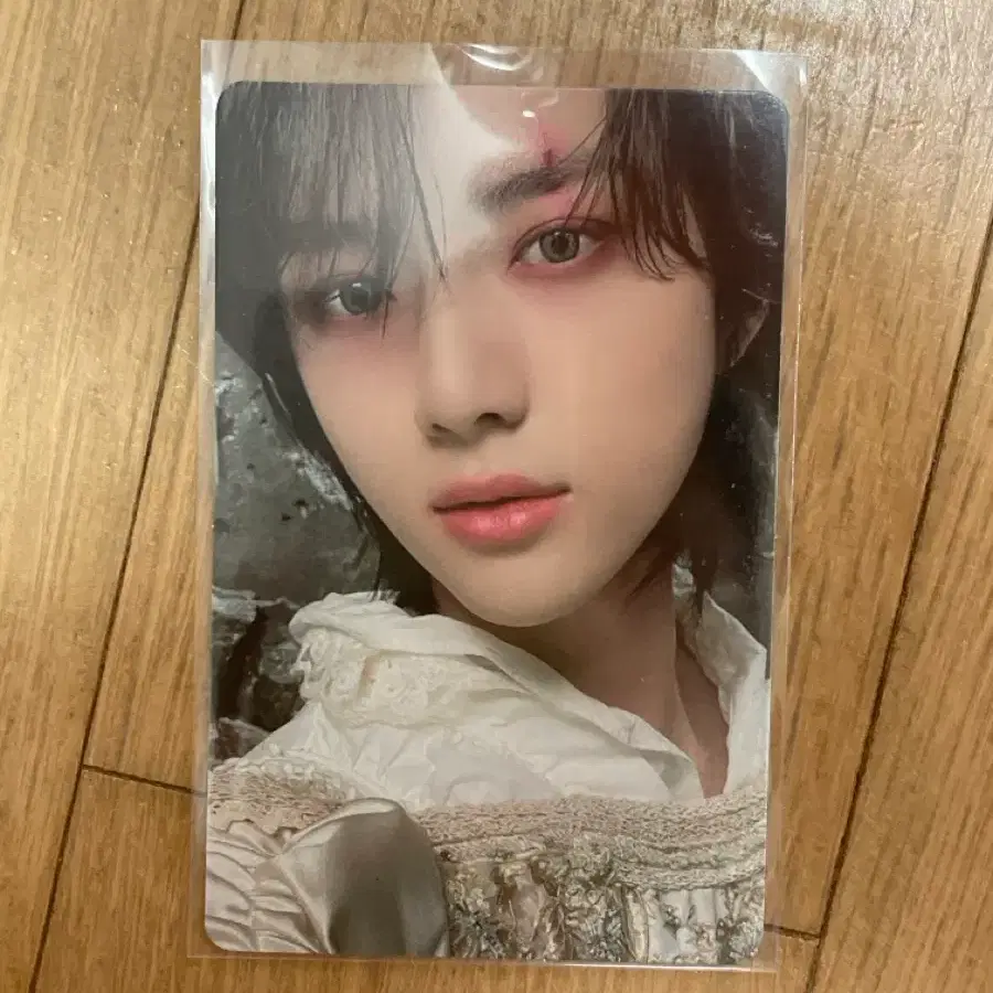 프리즈 범규 TXT 포카