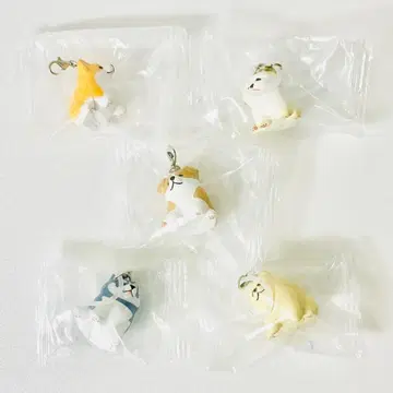 말랑강아지 표시 마스코트 전 5종 컴플리트 세트