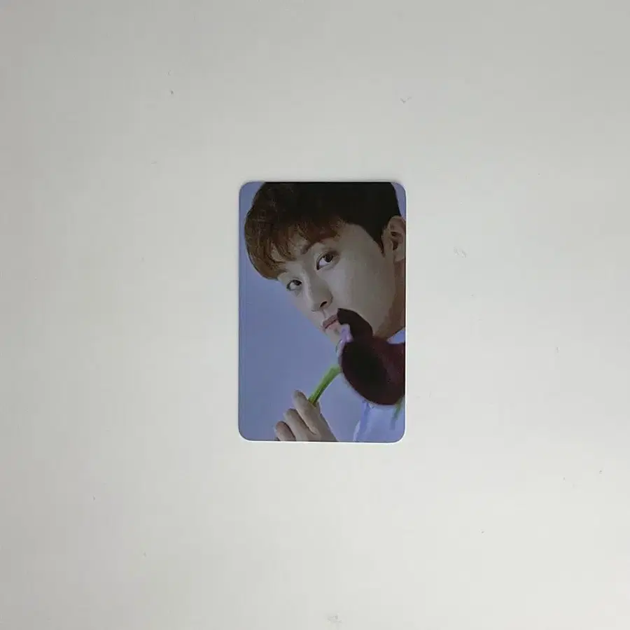 엔시티드림 마크 스태리 데이드림 드림 카드 팩 포토카드 포카 NCT DREAM MARK STARRY DAYDREAM CARD PACK PHOTOCARD 2