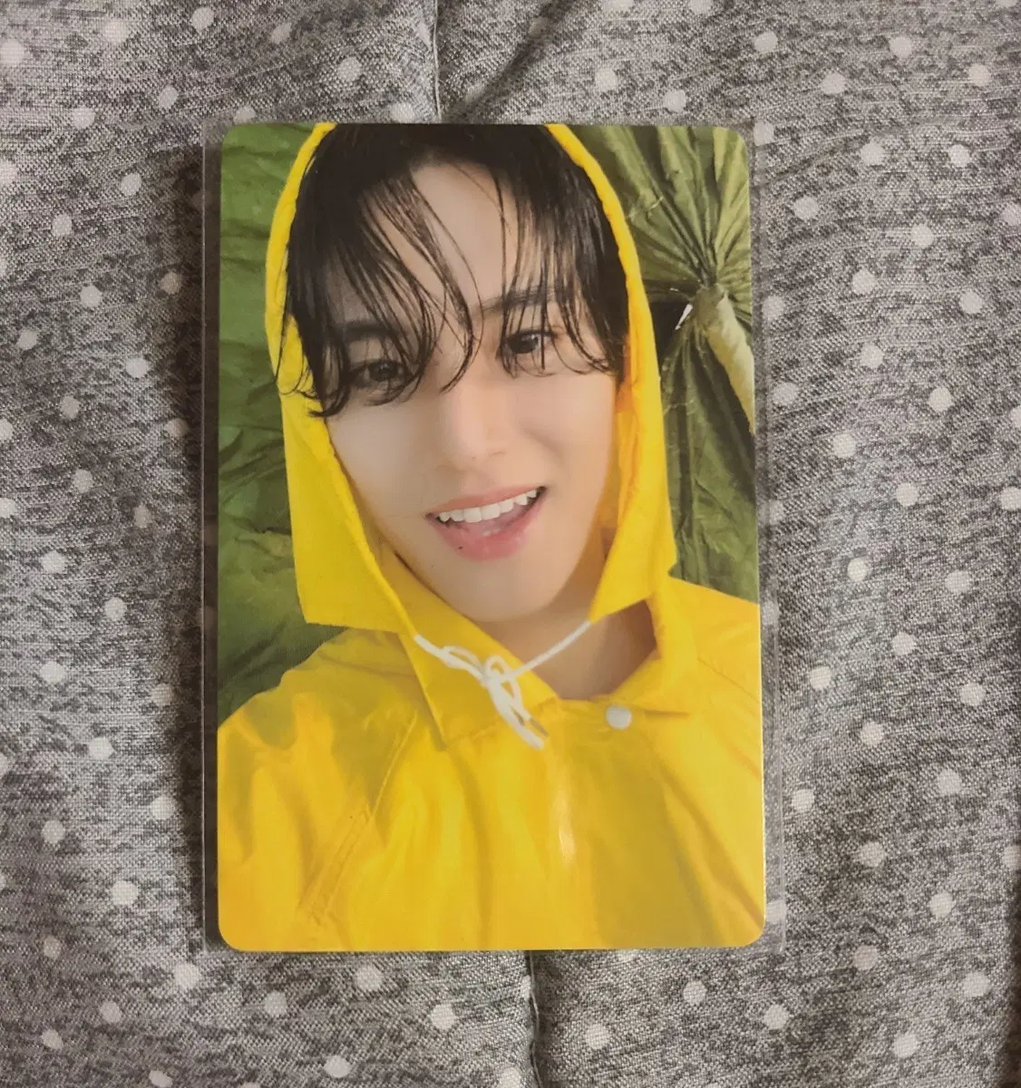 세븐틴 민규 헤븐 캐럿반 우비 포카