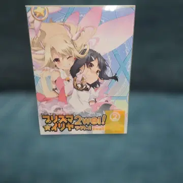 Fate/kaleid liner 프리즈마 이리야 2wei! 제2권
