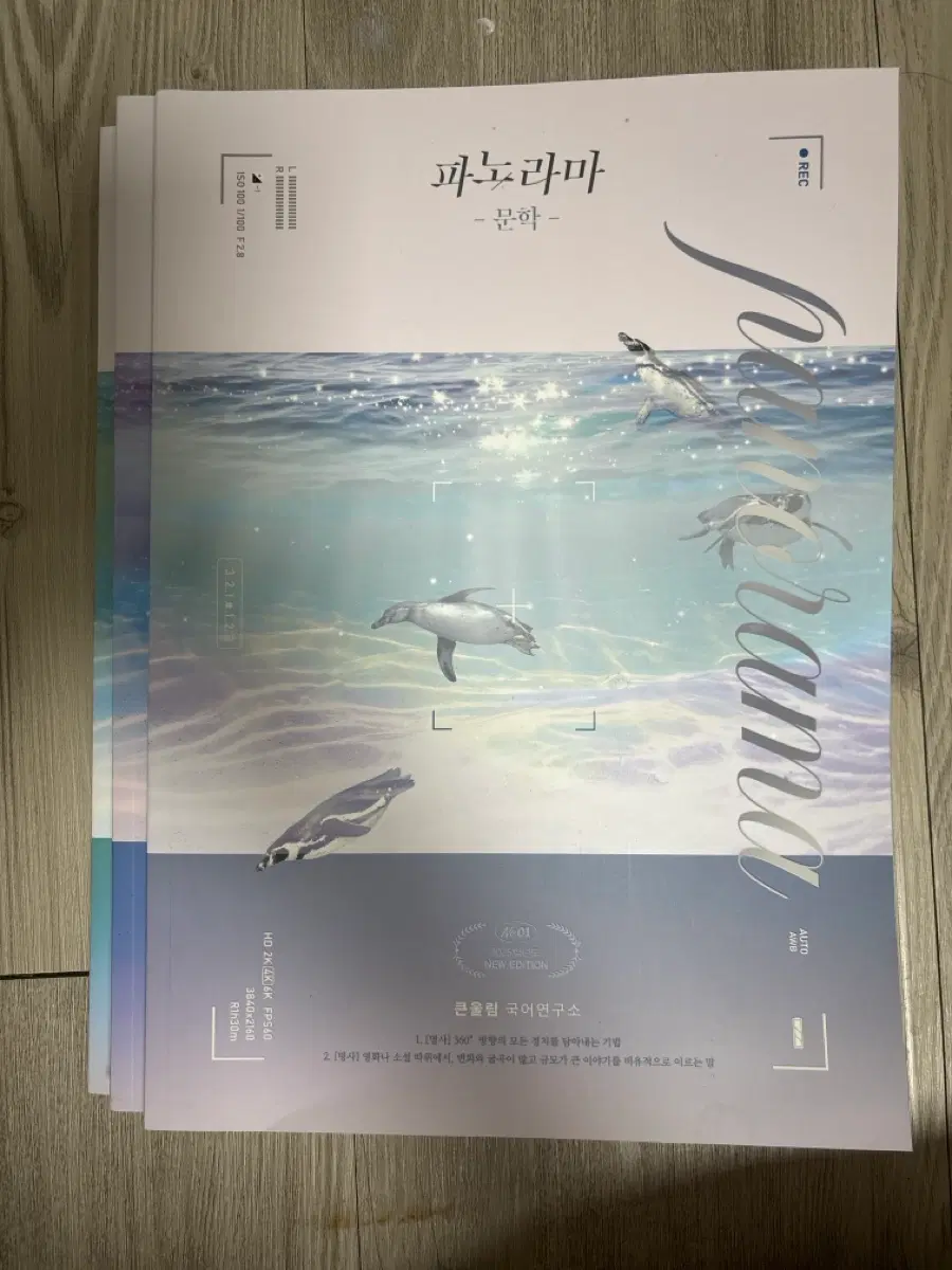 [미개봉] 유대종 파노라마 문학/인문예술/사회