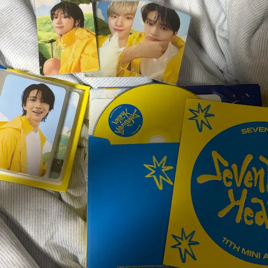 세븐틴 음악의신 캐럿반