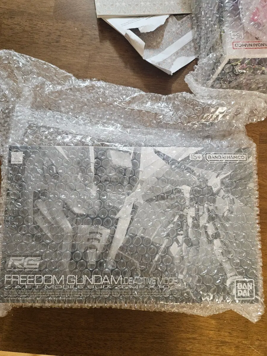 rg 프리덤 건담 디액티브