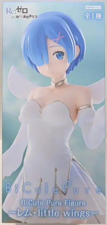 후류 BiCutePureFigure 렘 little wings