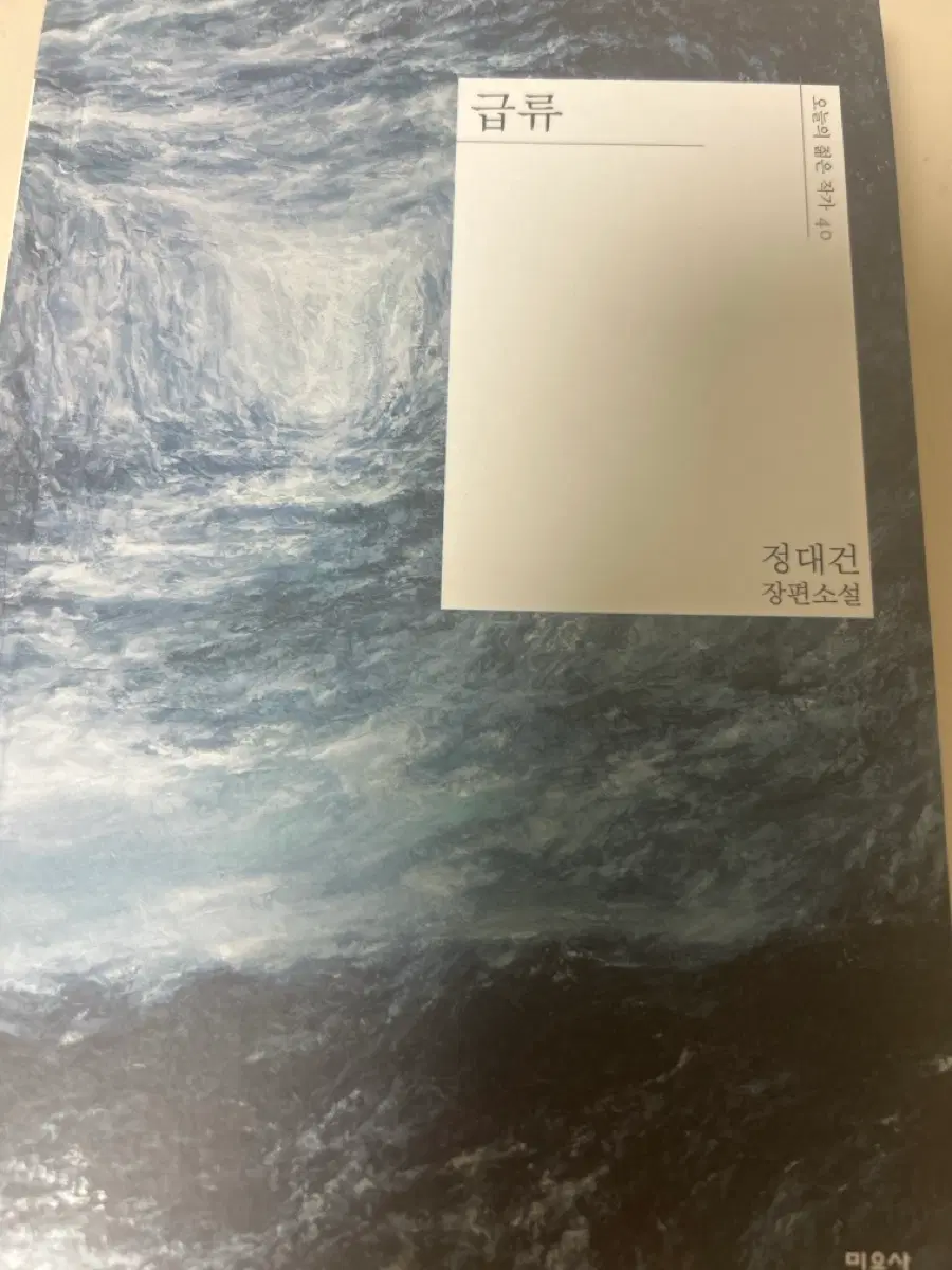 급류 책