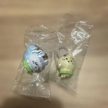치이카와 영화 모몽가, 토끼