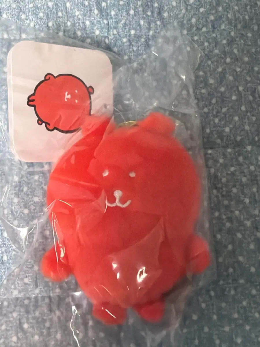 컬러곰 마스코트 인형