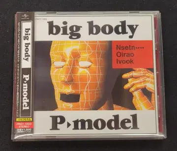 아티스트 CD P-MODEL big body
