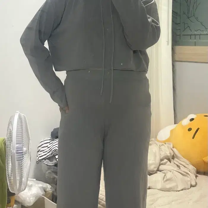 셋업