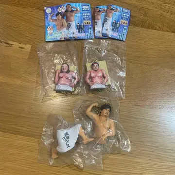 체격 브라더스 빅 바디 컬렉션 아키야마 히라코