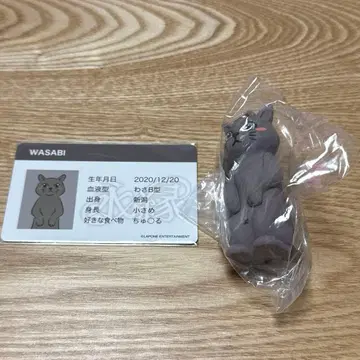 JO1 영연 푸치제오와사비