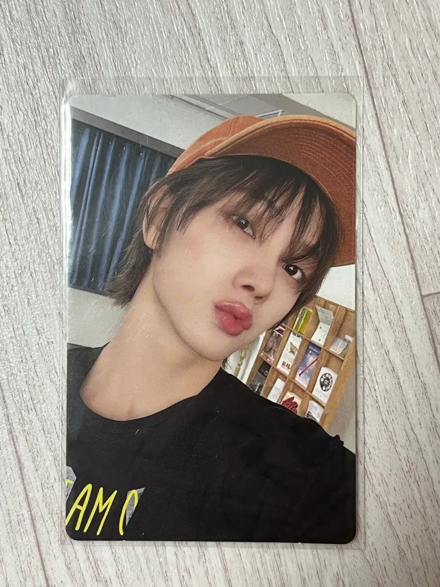 보넥도 성호 포카