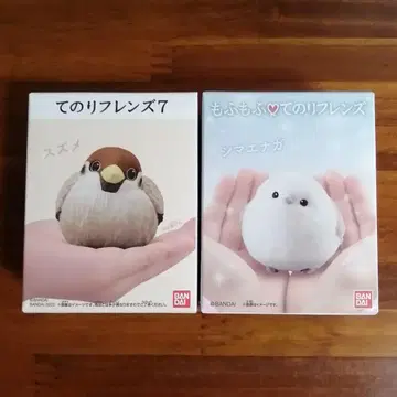 테노리 프렌즈 참새 모후모후 테노리 프렌즈 시마연가 작은 새 야생 조류 아이돌