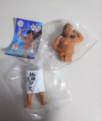 체격 브라더스 빅 바디 가챠가챠 아키야마 류 피규어
