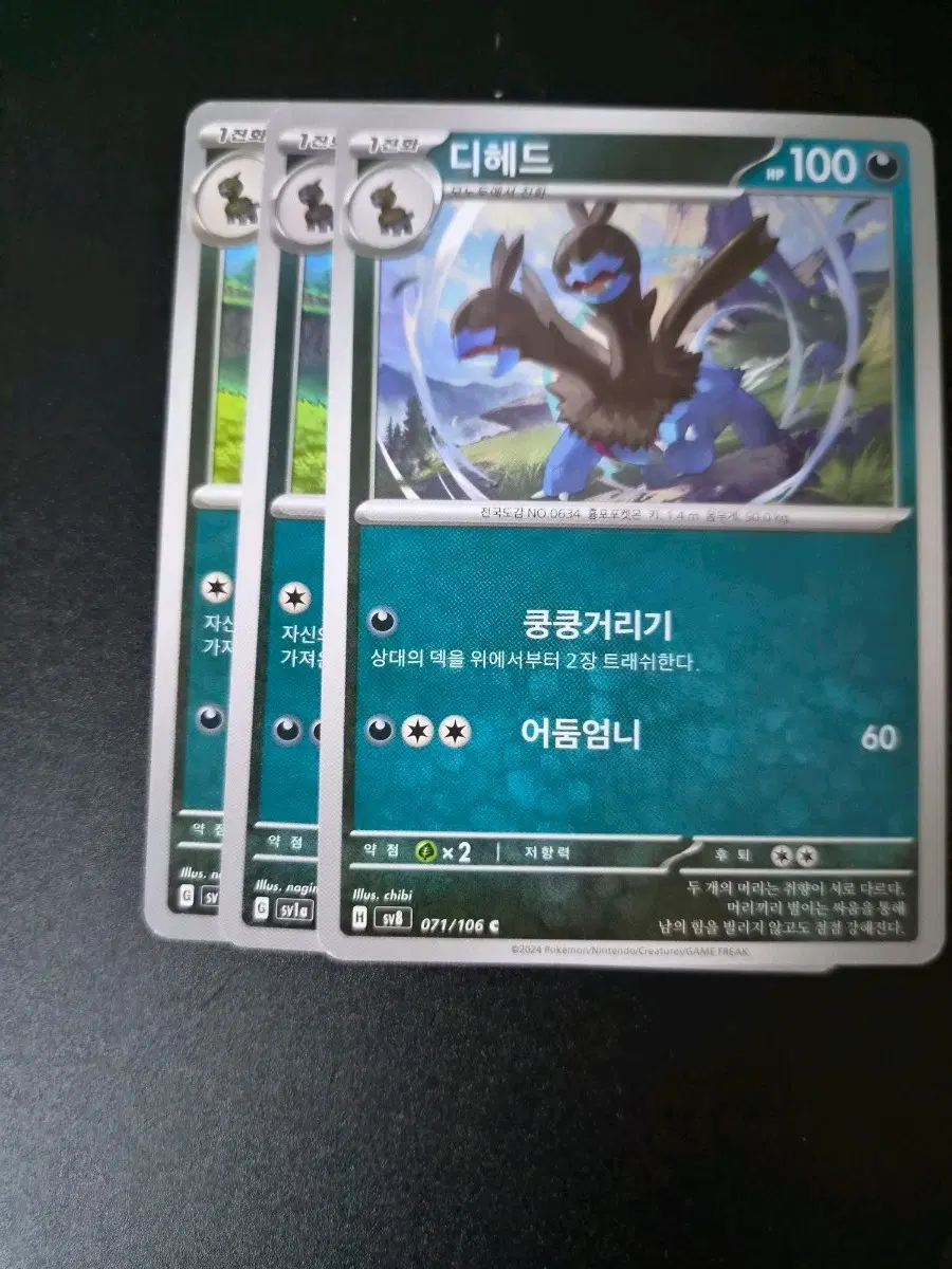 포켓몬 카드 디헤드