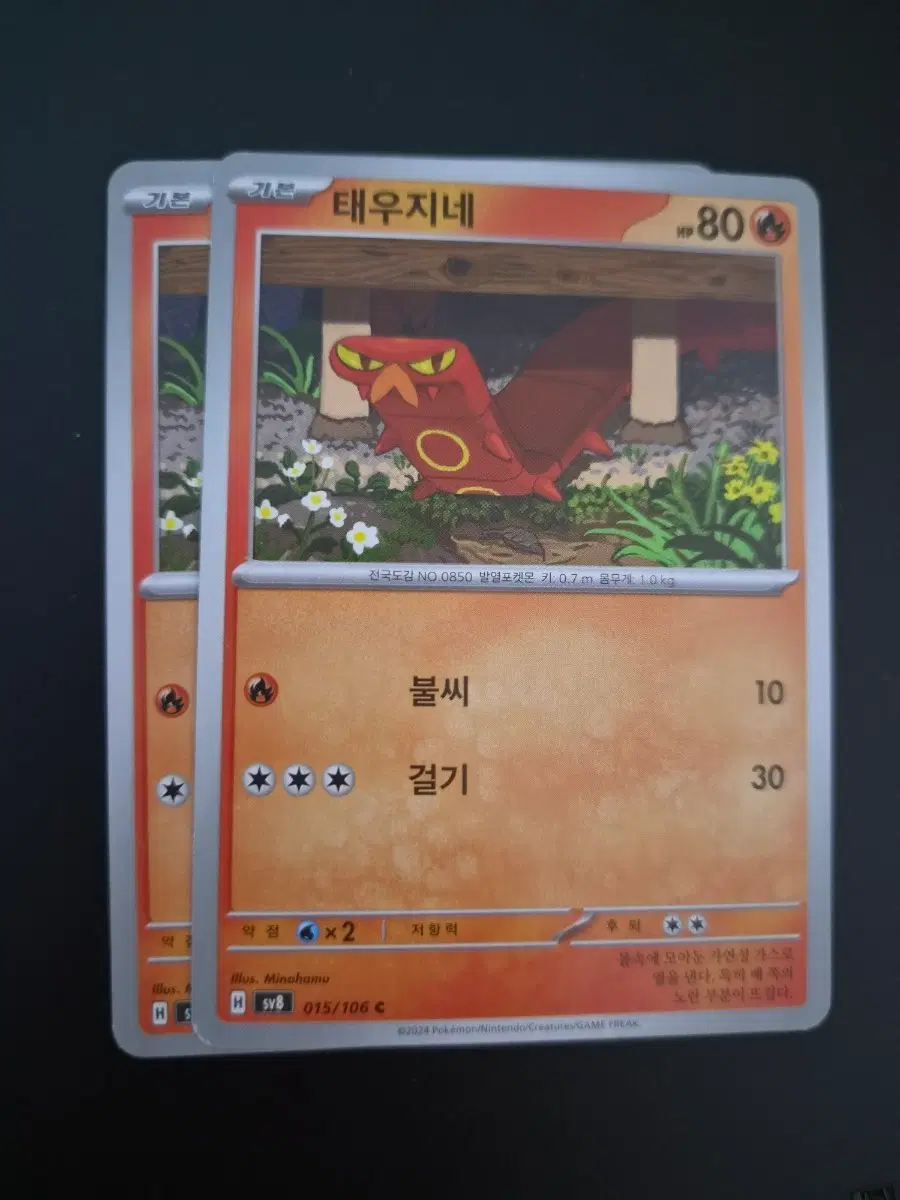 포켓몬카드 태우지네