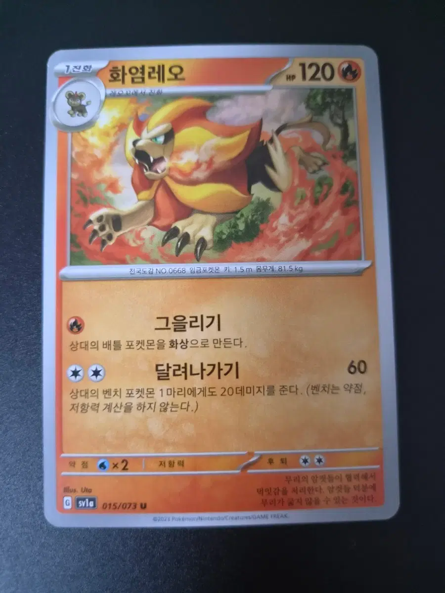 포켓몬 카드 화염레오