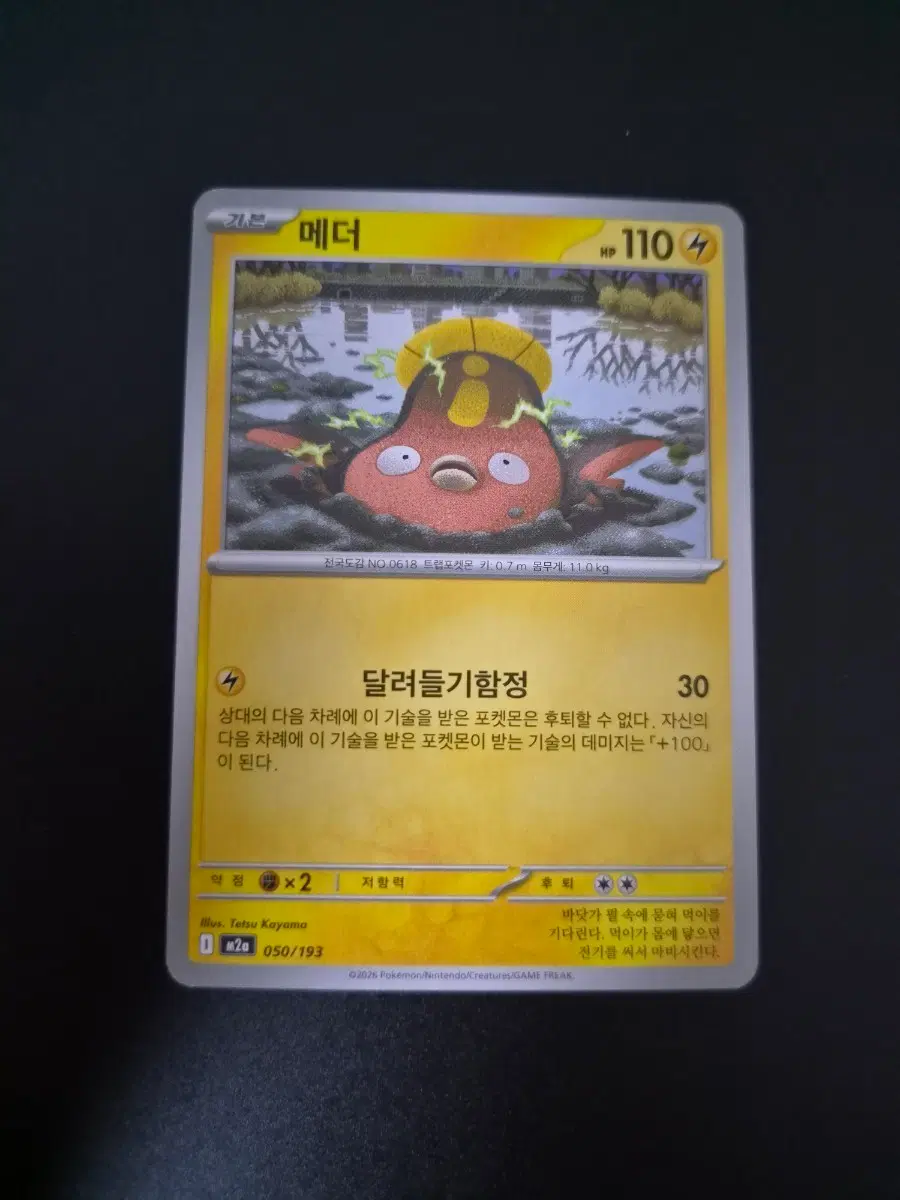 포켓몬 카드 메더