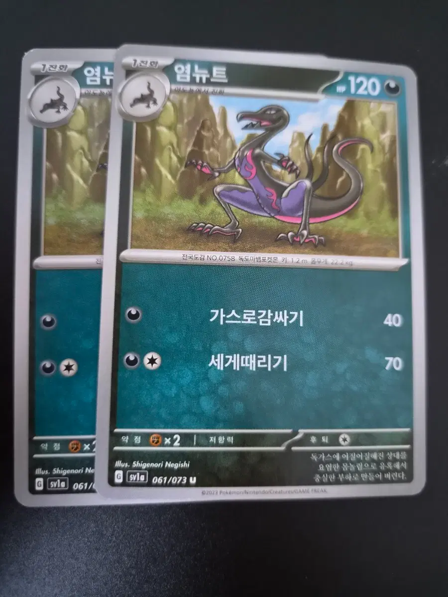 포켓몬카드 염뉴트