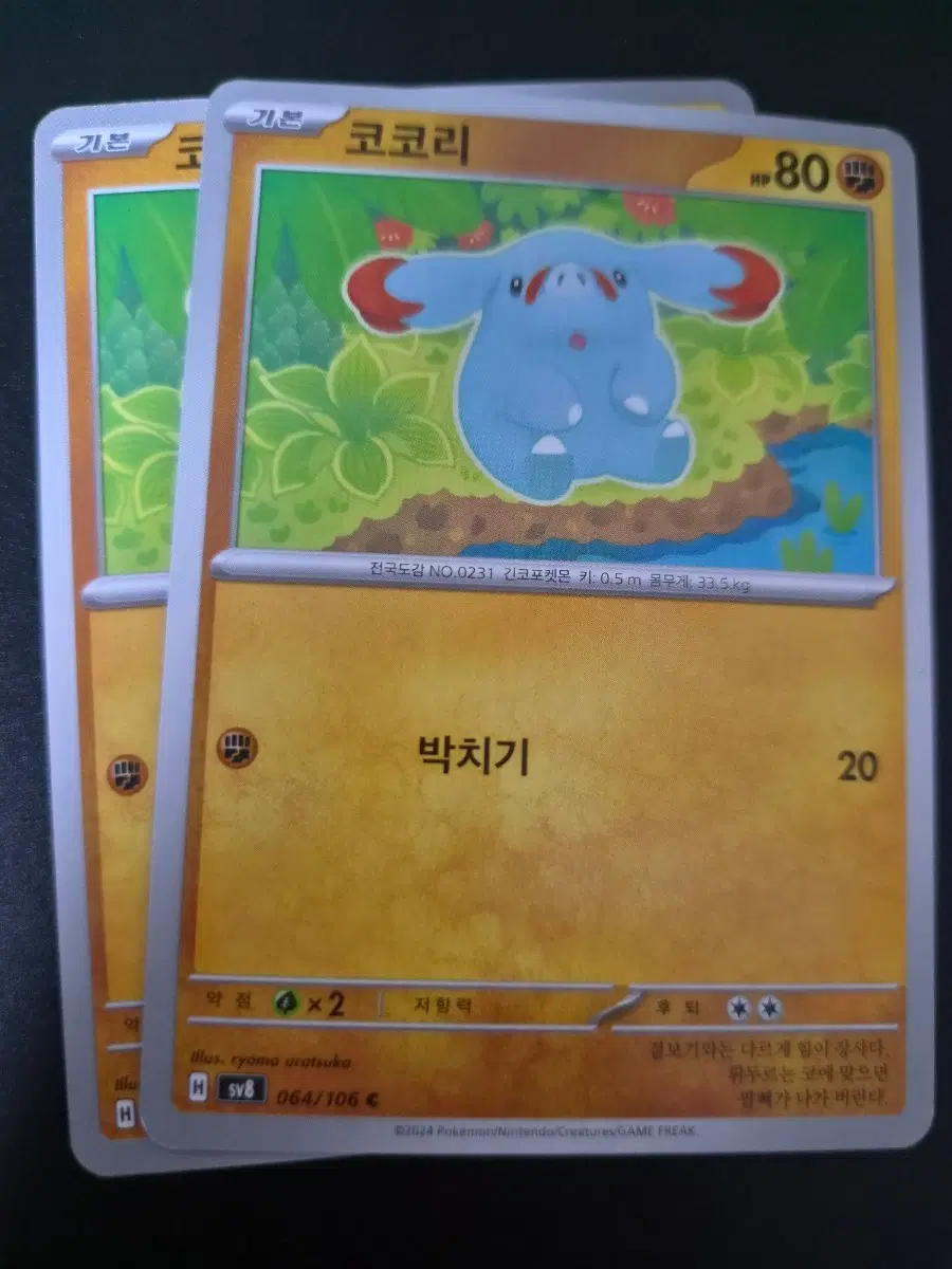 포켓몬 카드 코코리