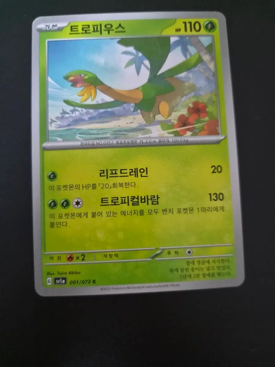 포켓몬 카드 트로피우스
