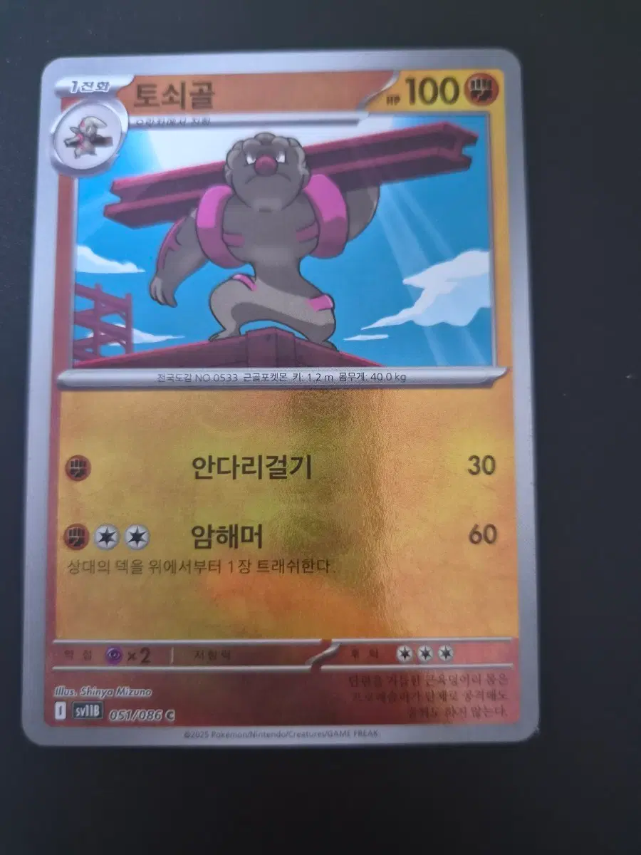 포켓몬 카드 토쇠골