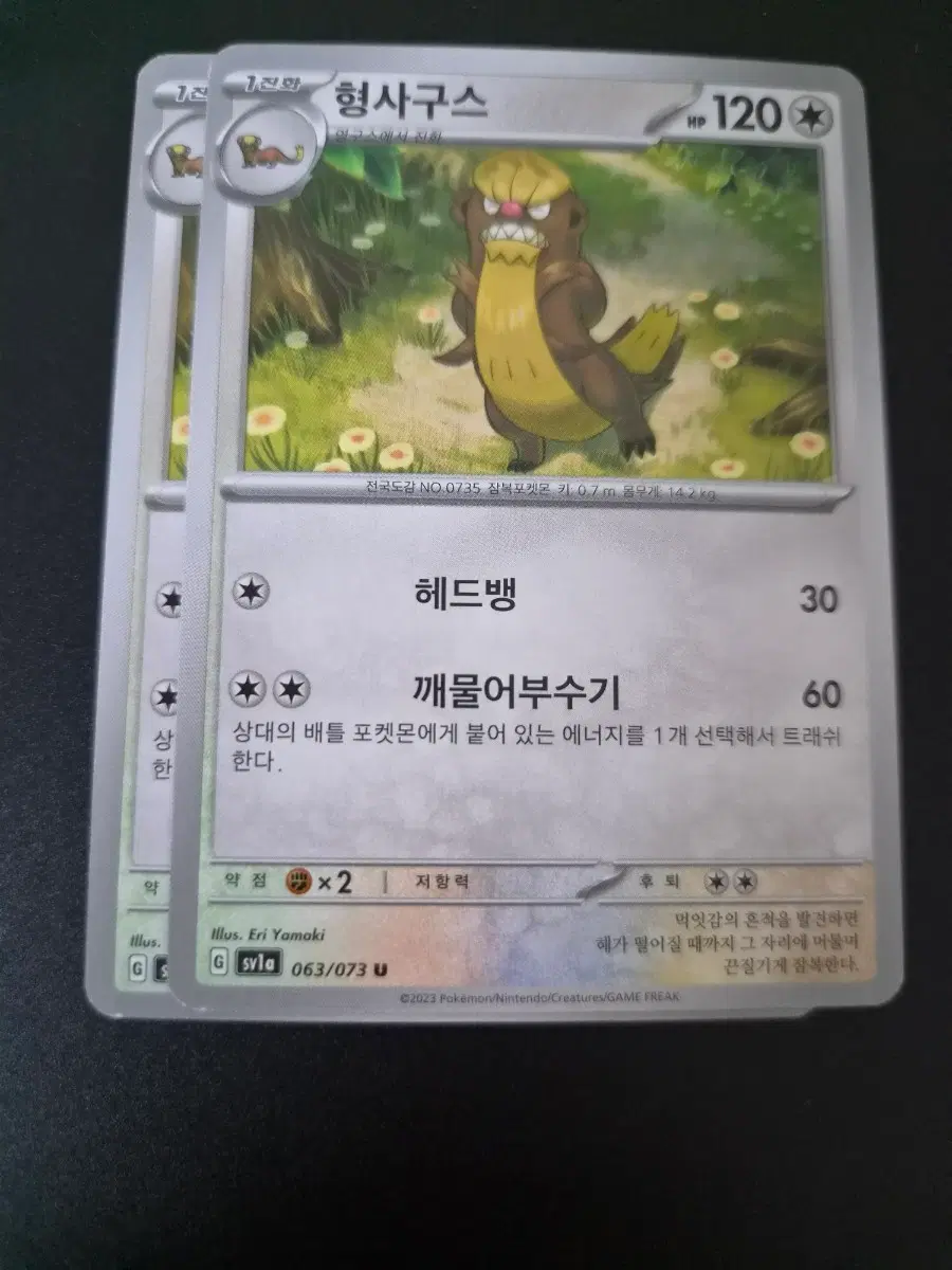 포켓몬 카드 형사구스 2