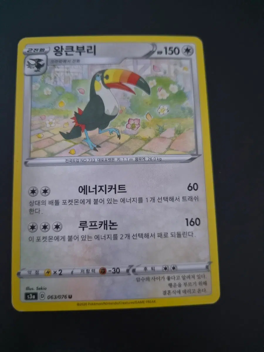 포켓몬카드 왕큰부리