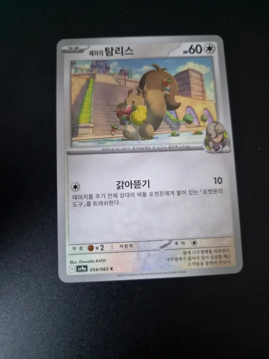 포켓몬 카드 페퍼의 탐리스