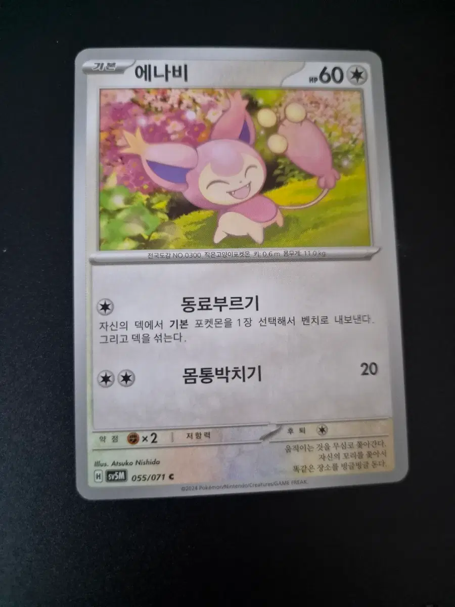 포켓몬 카드 에나비