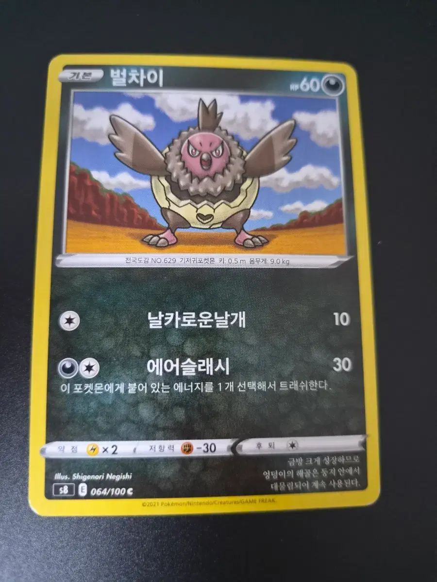 포켓몬 카드 벌차이
