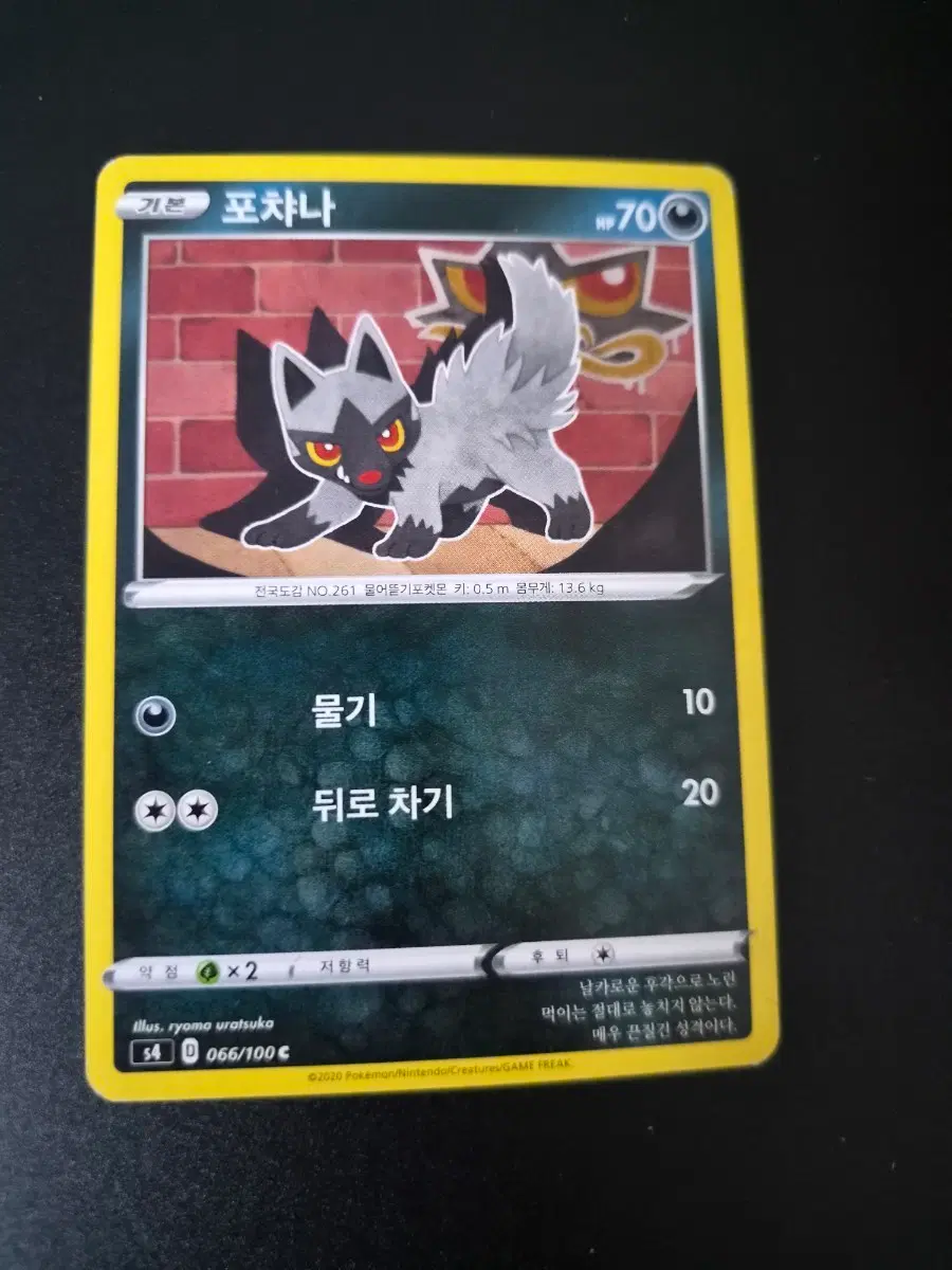 포켓몬 카드 포챠나 2